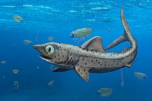 Urzeit-Hai hielt seine größten Zähne gut verborgen