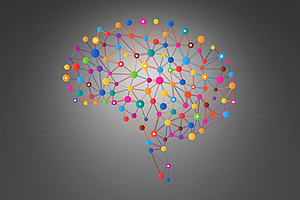 Verbindungen von Nervenzellen entscheidend für Erinnern und Lernen