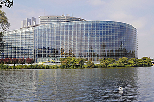 Council of European Dentists: "Mundgesundheit zählt für alle"