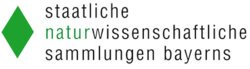 Staatliche Naturwissenschaftliche Sammlungen Bayerns Staatliche Naturwissenschaftliche Sammlungen Bayerns