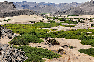 Einsatz in Namibia: Ein Zahnarzt berichtet