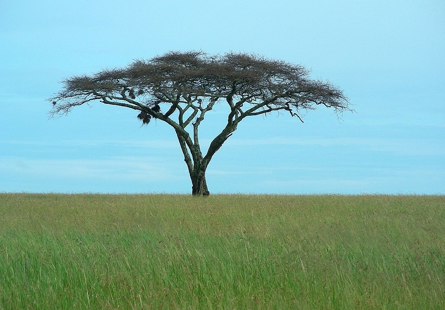 2. Operationseinsatz in Biharamulo