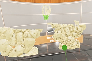 Mit der "Virtual Reality"-Brille durch den Knochen spazieren