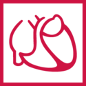 Deutsche Gesellschaft für Kardiologie – Herz- und Kreislaufforschung e.V. (DGK)