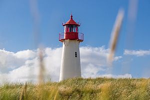 Vielfältige Fortbildung an der Nordsee: Stärkung freiberuflicher Praxisstrukturen