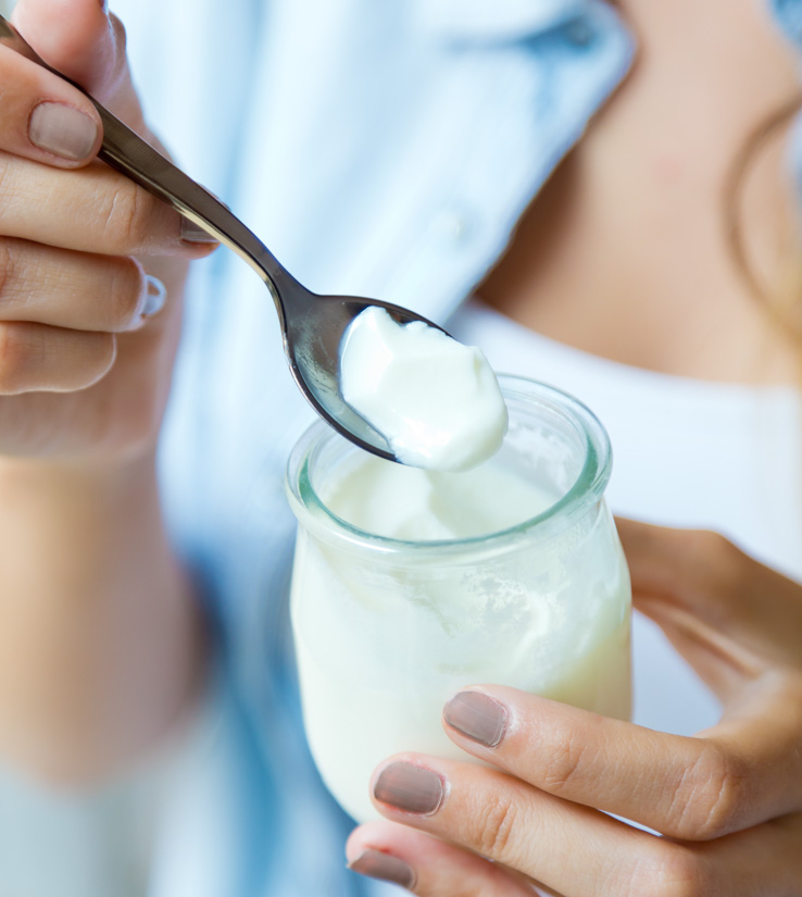 Biofilm: Milchsäurebakterien zeigen Wirkung