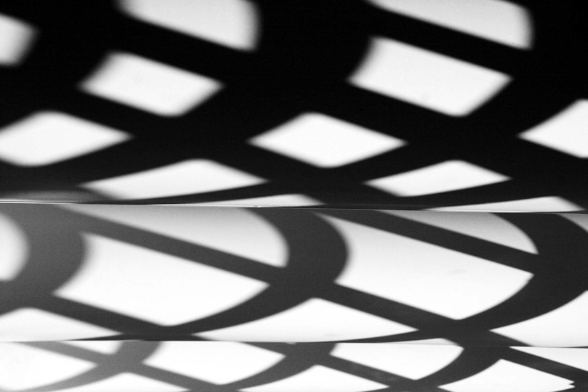 FVDZ: Koalitionsvertrag zeigt Licht, aber auch viel Schatten