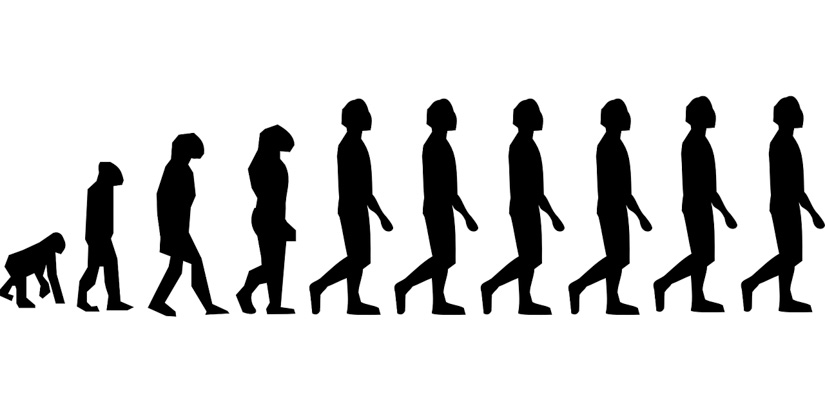 Karies und Fettleibigkeit: Schon unsere Vorfahren vor 12 Millionen Jahren litten darunter