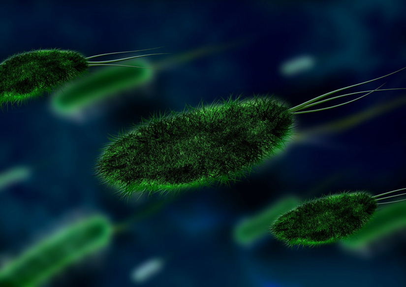 Sulfid: Antibiotikaresistenzen im Fokus der Forschung