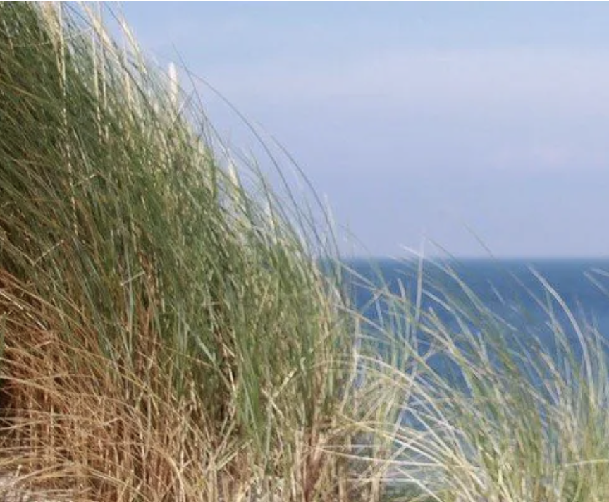 19. Praxis-Ökonomie-Kongress auf Sylt vom 9. - 11. Mai 2024 19. Praxis-Ökonomie-Kongress auf Sylt vom 9. - 11. Mai 2024