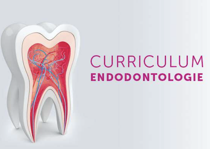 Curriculum Endodontie Curriculum Endodontie